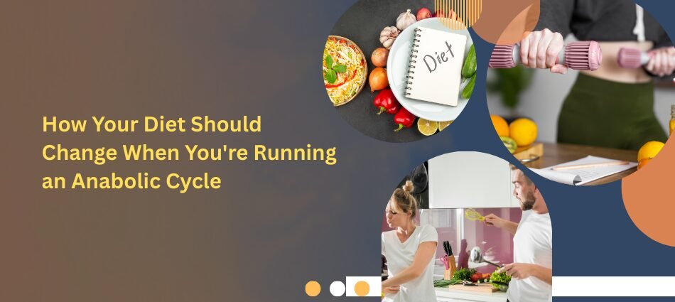 How Your Diet Should Change When You’re Running an Anabolic Cycle?