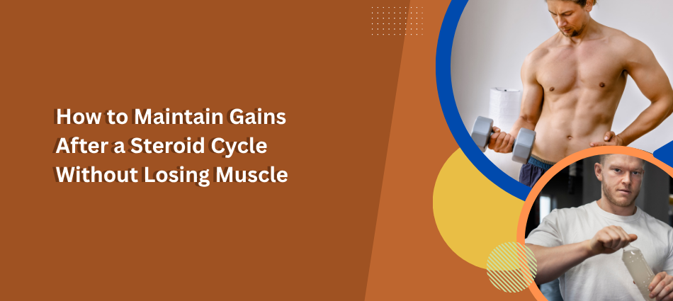 How to Maintain Gains After a Steroid Cycle Without Losing Muscle?